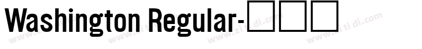 Washington Regular字体转换